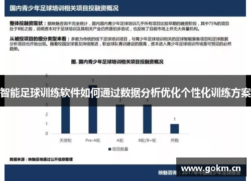 智能足球训练软件如何通过数据分析优化个性化训练方案